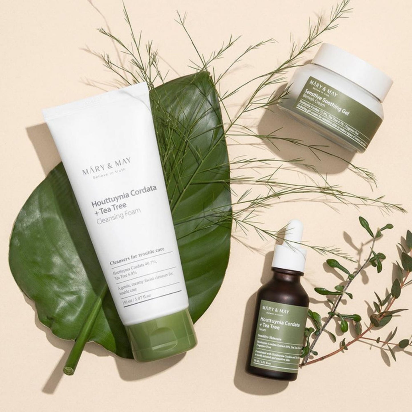 Mary & May Houttuynia Cordata + Tea Tree Καθαριστικός Αφρός 150ml