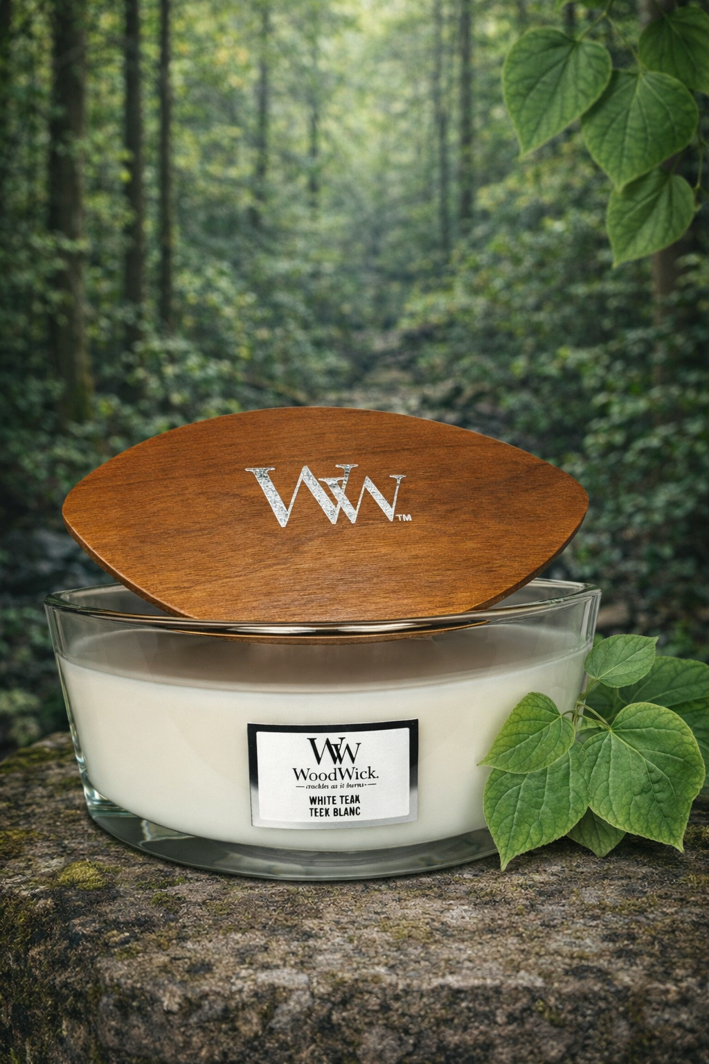 WoodWick White Teak Teck Blanc 453,6gr.