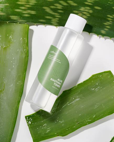 ISNTREE Aloe Soothing Toner 200ml