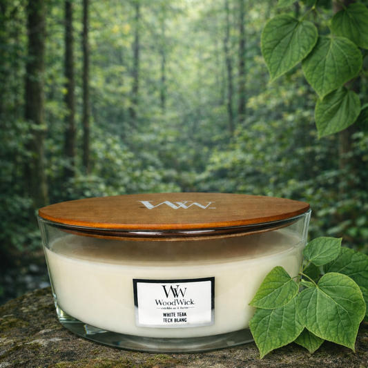 WoodWick White Teak Teck Blanc 453,6gr.